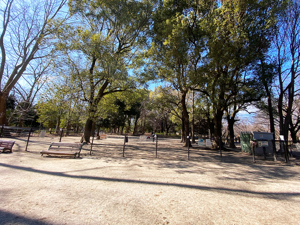 航空記念公園